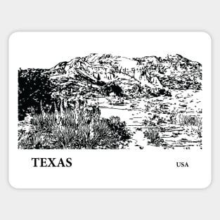 Texas USA Sticker